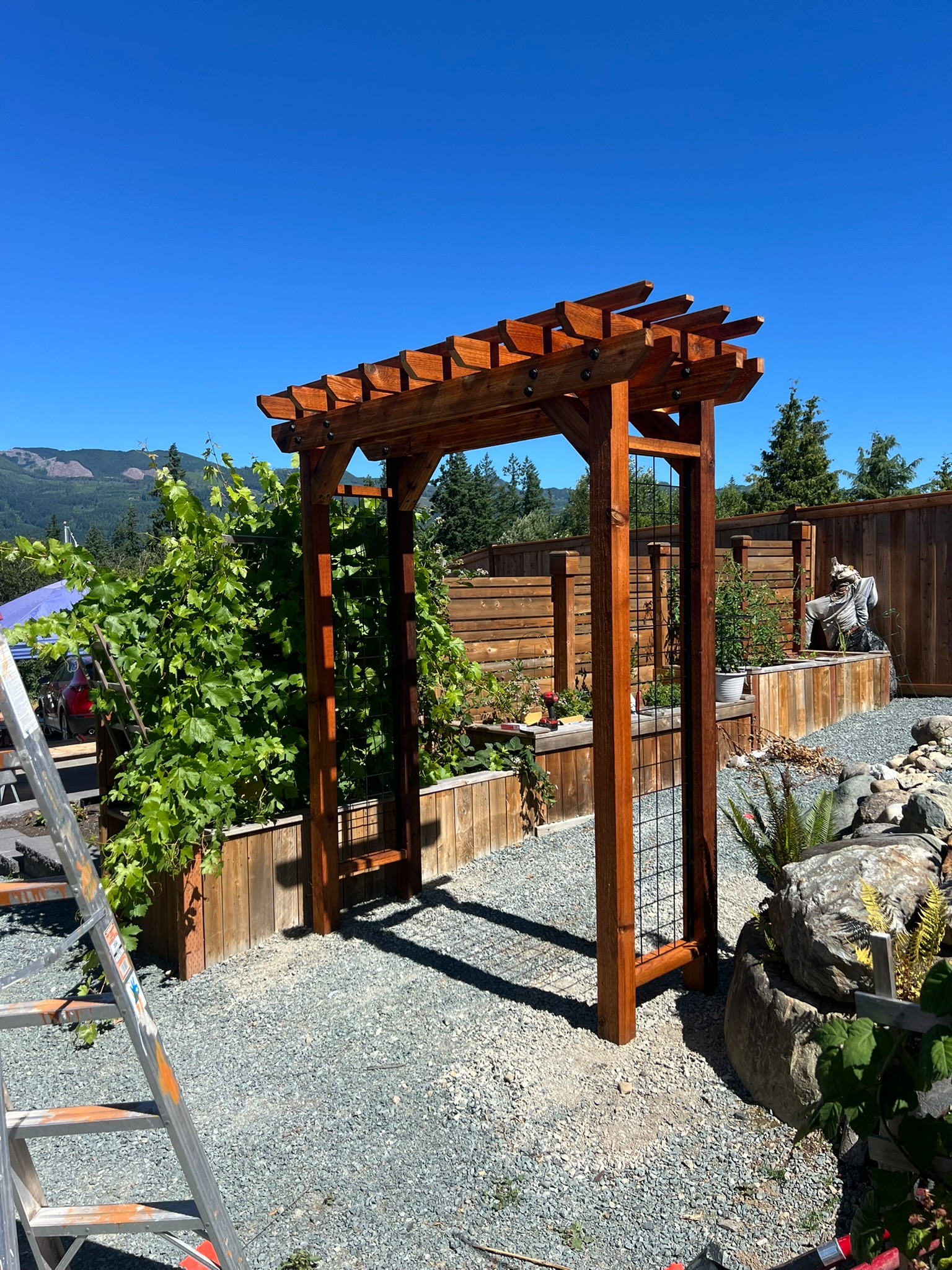 Completed stained wood garden arbor beneath a bright blue sky